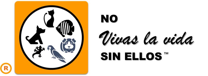Imagen: 16